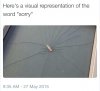 image.jpeg