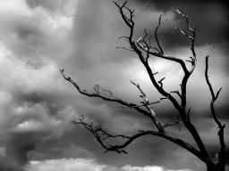 JohnMartinz