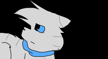 kittycat0607