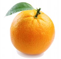 MutatedOrangeOfficial