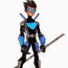 NightWing8589
