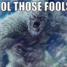 Yeti4Lyf