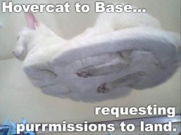 DahLolcats